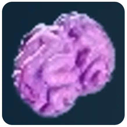Acidic Raion Pouch