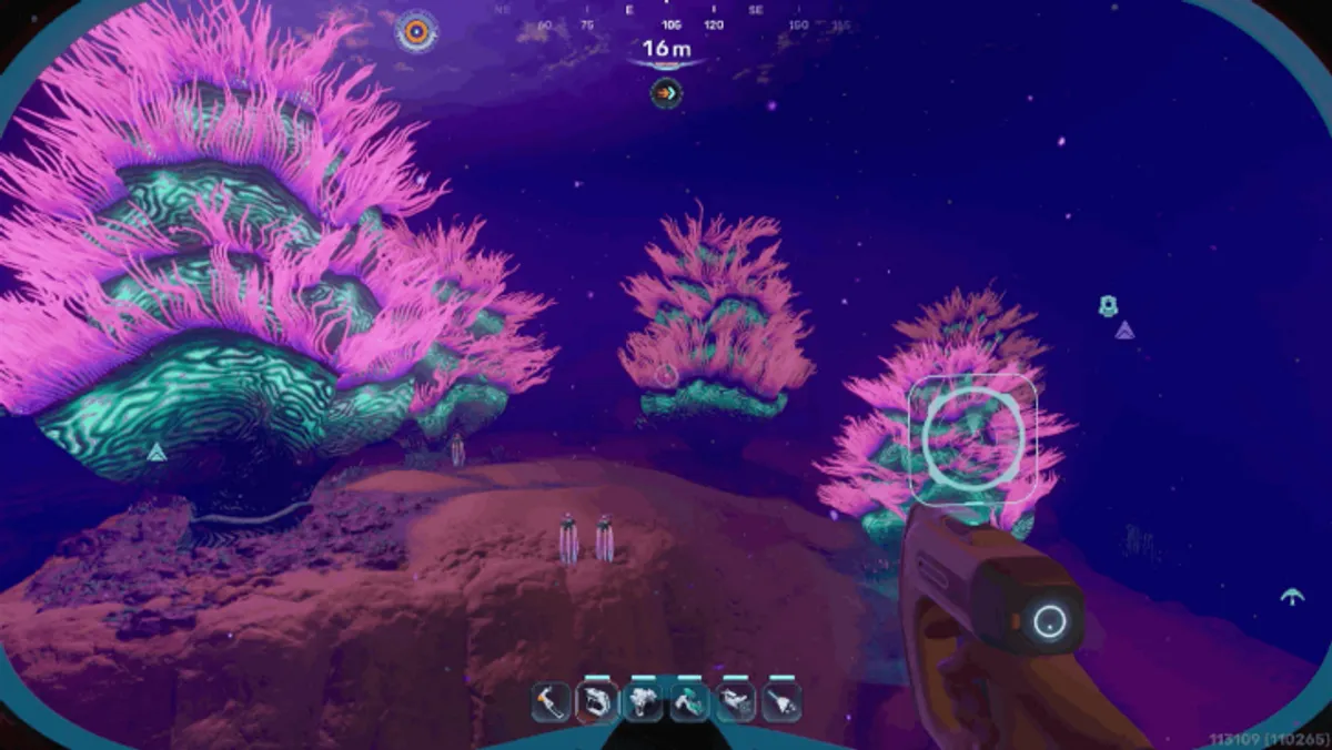 Anemone Hills