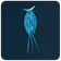 Cerathecan