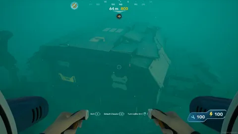 Cicada Wreck variants
