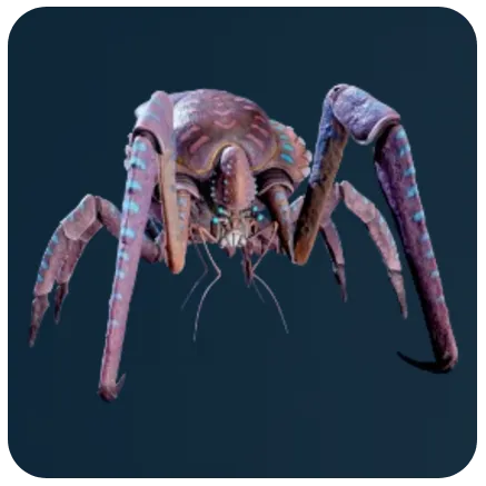 Coral Crab