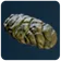 Crab Feces