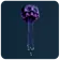 Dangling Salp