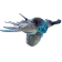 Deepwing Brooder Leviathan