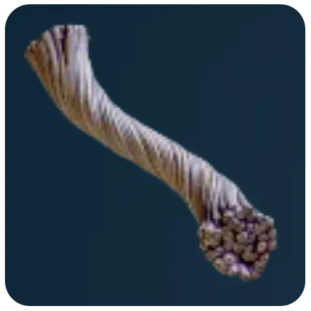 Fiber