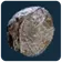 Fibrous Pulp