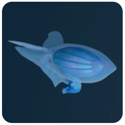 Hycean
