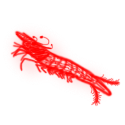 Microshrimp