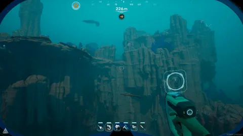 Needler Nest