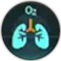 Oxygen Control
