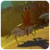 Periscopic Clowncrab