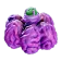 Raions