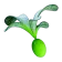 Rotsacs