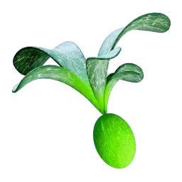 Rotsacs