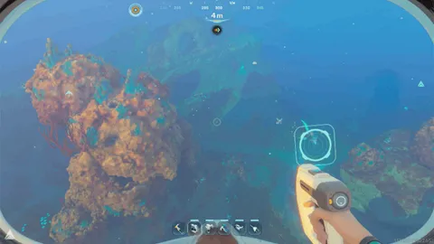 Shallows