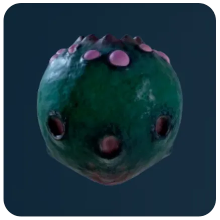 Stilt Orb