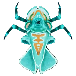 Teal Cycloplet